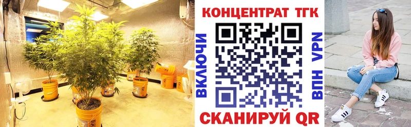 площадка формула  Бологое  Дистиллят ТГК жижа 