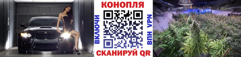 mega ссылка  наркотики  Бологое  Конопля сатива 